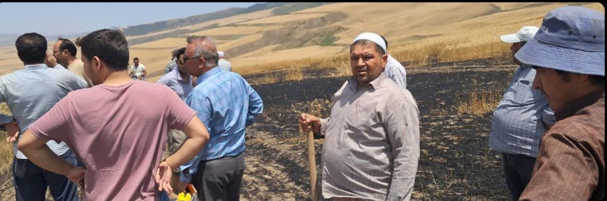 آتش سوزی مزارع گندم بخش پیشکمر کامل مهار شد