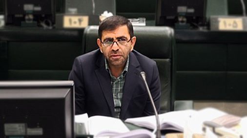 وزیر جهادکشاورزی در لغو مصوبه خرید کلزا و دانه‌های روغنی توسط بخش خصوصی تجدیدنظر کند
