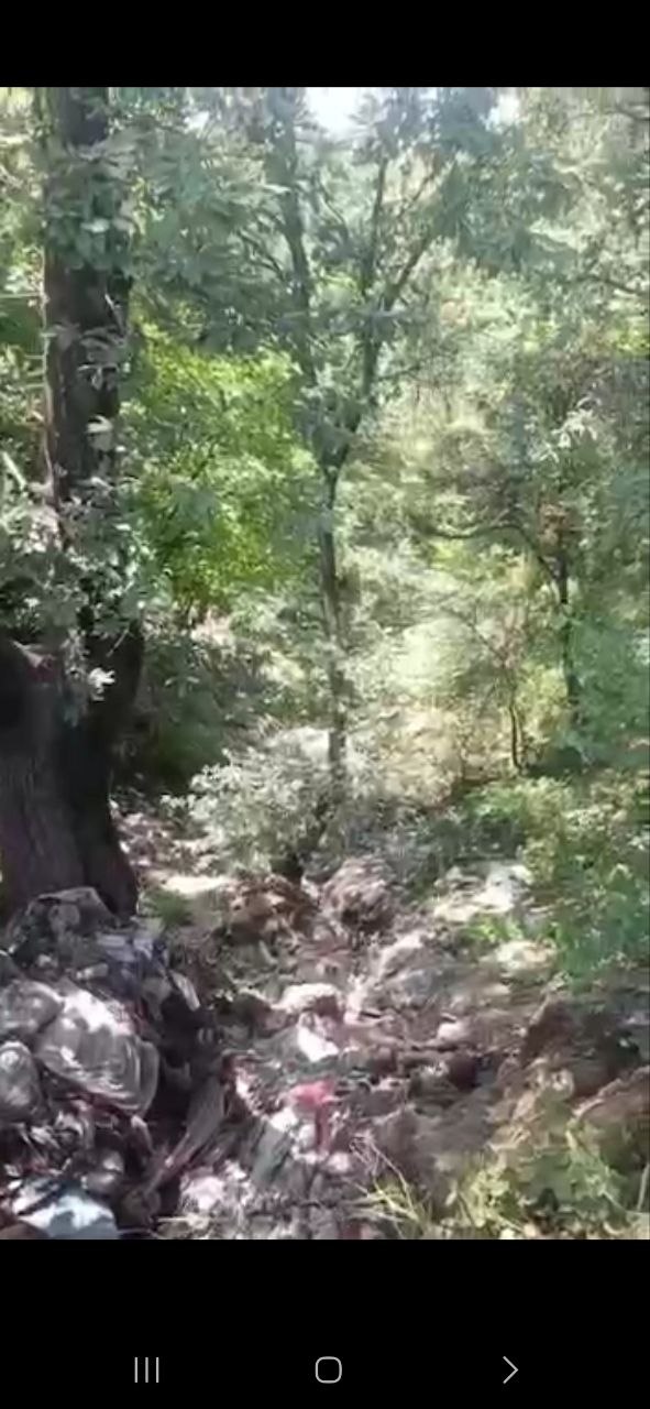 تخلیه غیرقانونی زباله‌ها در مسیر جنگلی اجن به صالح‌آباد