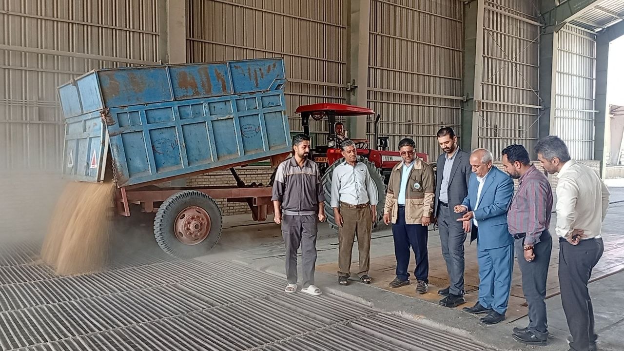 آمادگی کامل شهرستان کلاله برای خرید ۱۲۰ هزار تن گندم