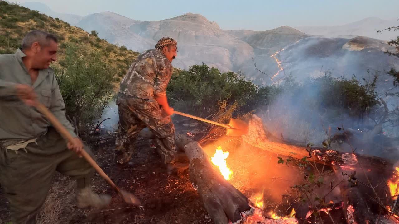 آتش‌سوزی در عرصه‌های جنگلی پارک ملی گلستان؛ تلاش بی‌وقفه نیروهای امدادی برای مهار حریق