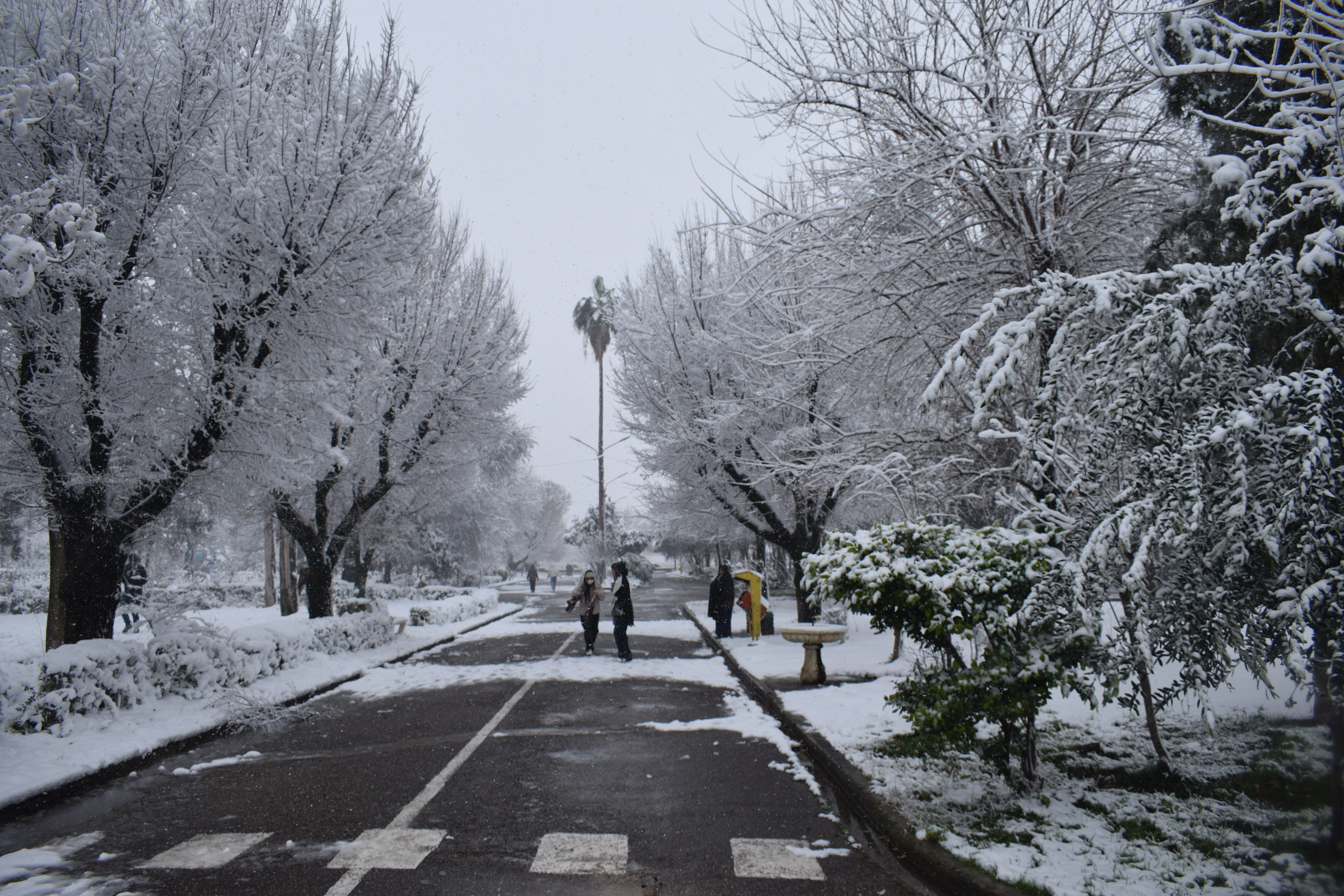 تصاویری از حال و هوای مردم کلاله  در یک روز  برفی  بهمن ۱۴۰۴