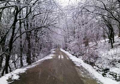 گزارش تصویری/ برف زمستانی گالیکش