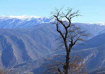 تصاویر/ زمستان در روستای «افراتخته»