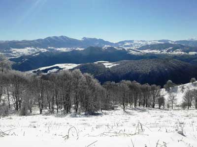 گزارش تصویری/ دهستان نیلکوه گالیکش سفیدپوشش شد