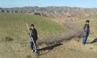 دامداران غیر بومی زمین های کلاله را تصاحب کردند!+ تصاویر